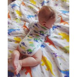 Комплект постельного белья полуторный "Динозавры"